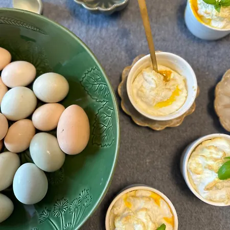 Apartman Wellness český Ráj&biokolna Lomnice nad Popelkou