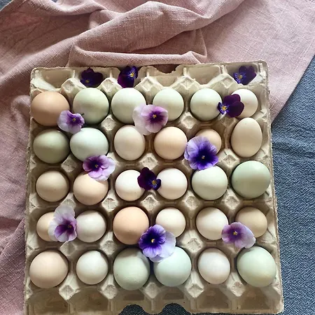 Apartman Wellness český Ráj&biokolna *