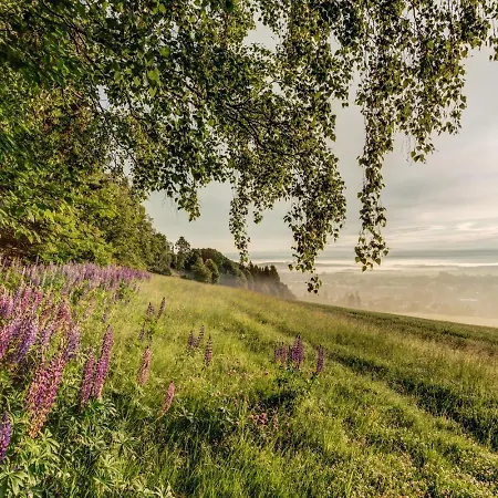 Apartmán Biokolna & Lomnice nad Popelkou